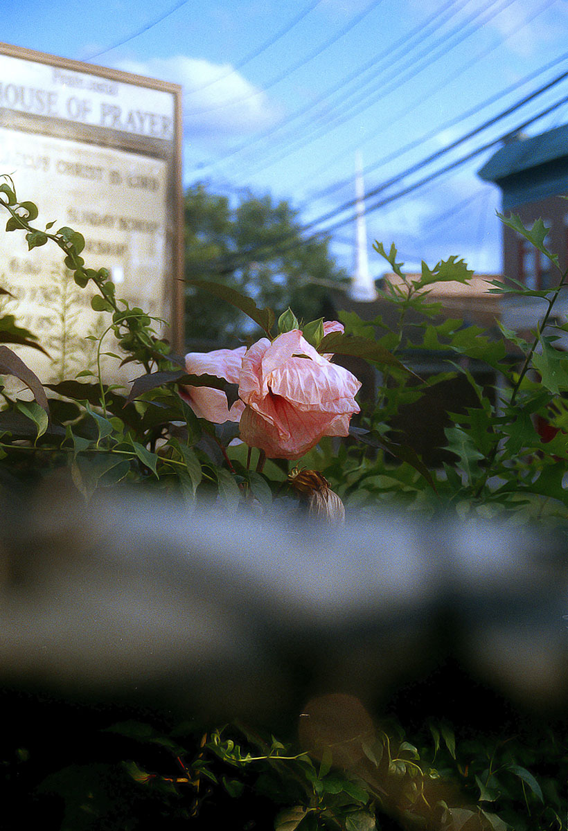 Photographer: Edward Gia
