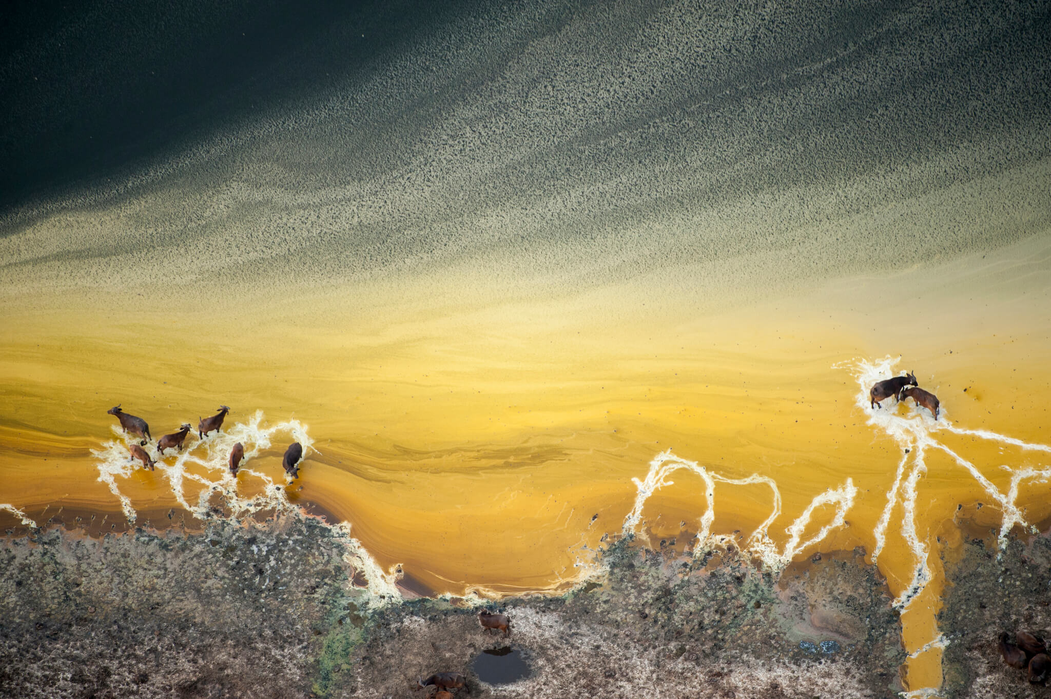 Photographer: Joel Sartore